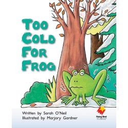 Too Cold For Frog!