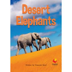 Desert Elephants