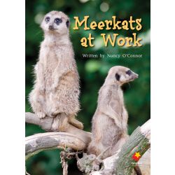 Meerkats at Work