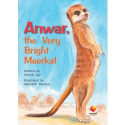 Anwar, The Very Bright Meerkat