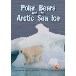 Polar Bears and the Arctic Sea Ice