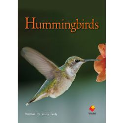 Hummingbirds