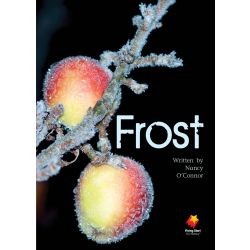 Frost