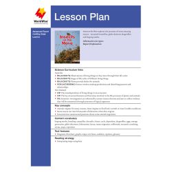 Lesson Plan - Insects on the Move