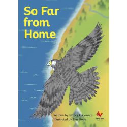 So Far from Home