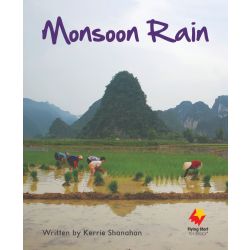 Monsoon Rain